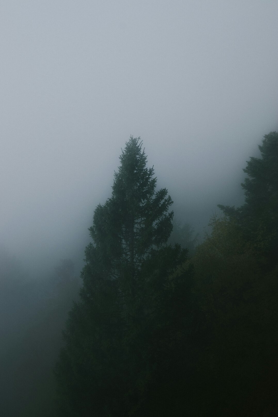 alpine mystery